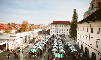 the chocolate festival brings together two of your favourite things