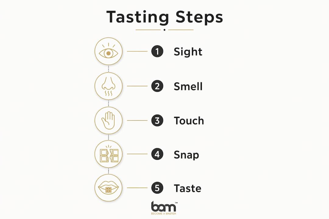 Infographic of five-step chocolate tasting method