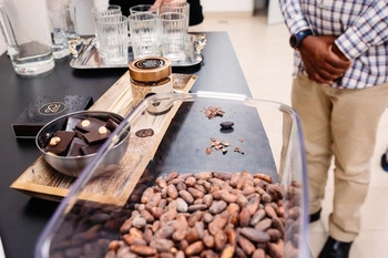 20 chocolate - the chocolate that will delight you at first bite