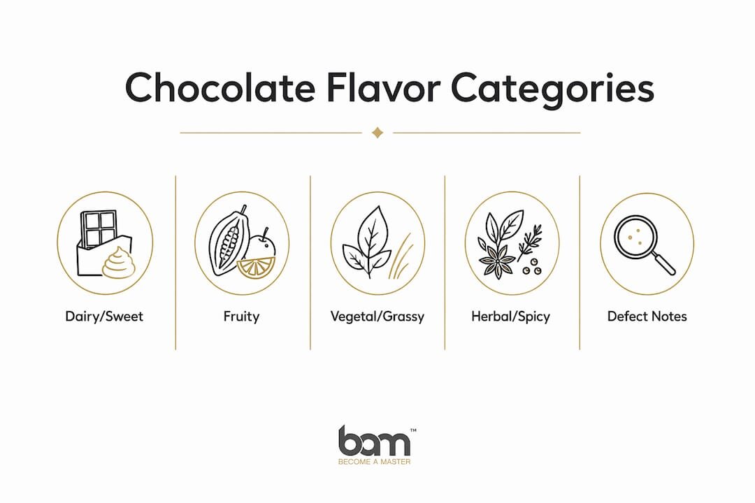 Infographic showing chocolate flavor categories in a hierarchy