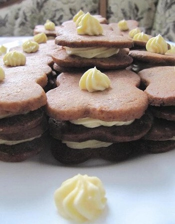 Chocolate biscuits with vanilla cream
